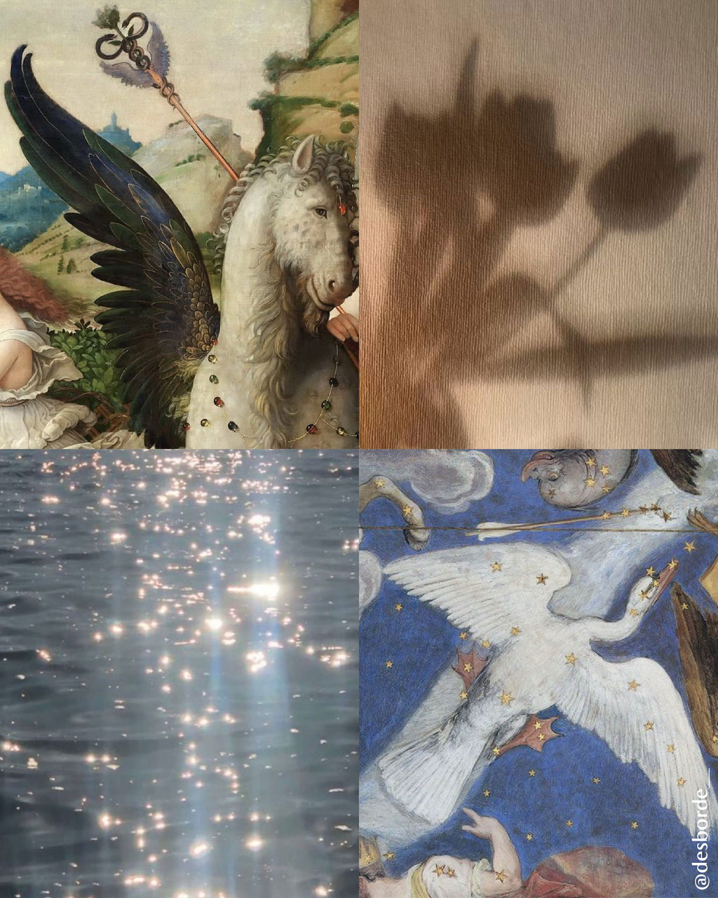 taller principiantes Nada