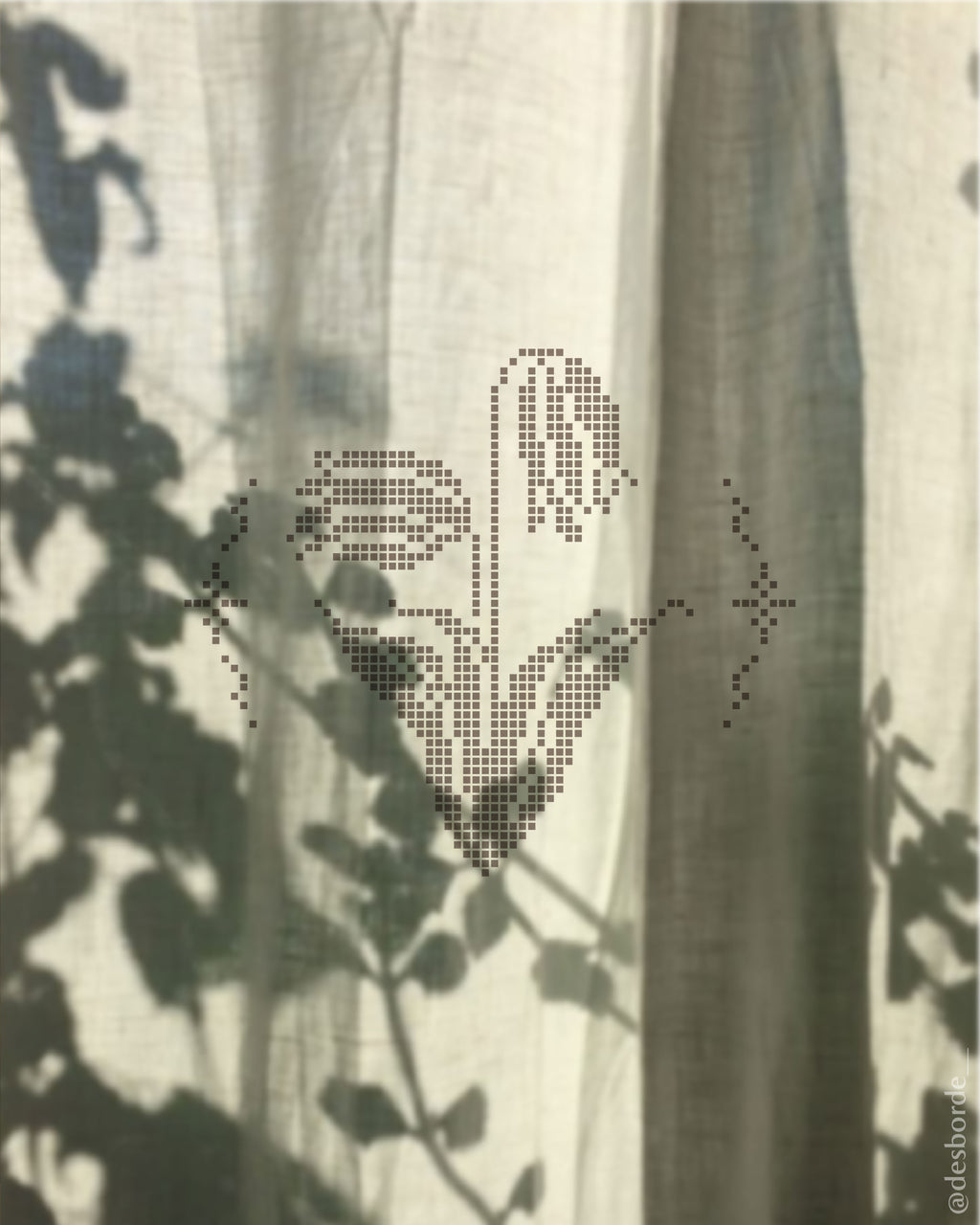 taller principiantes Nada