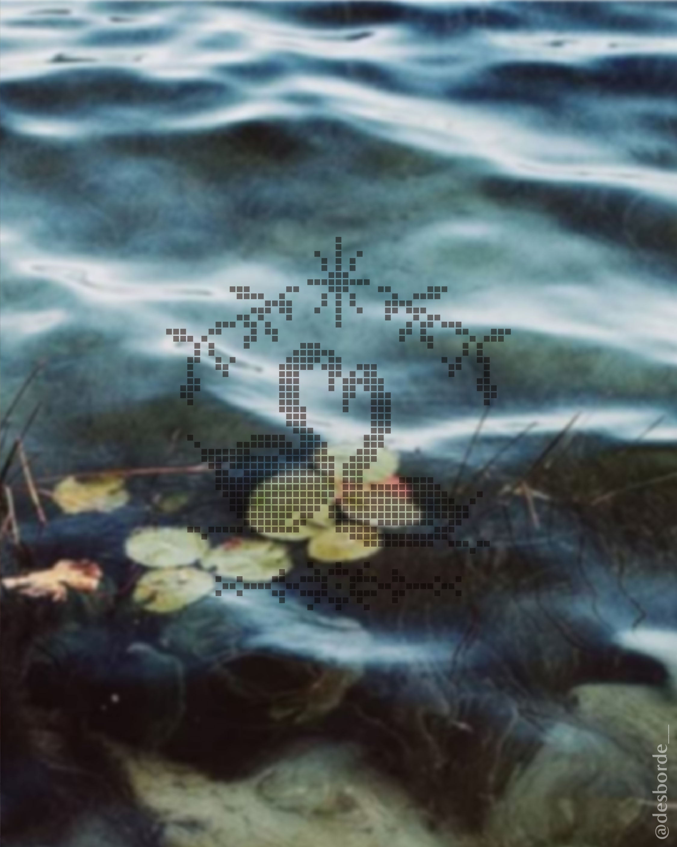 taller principiantes Nada