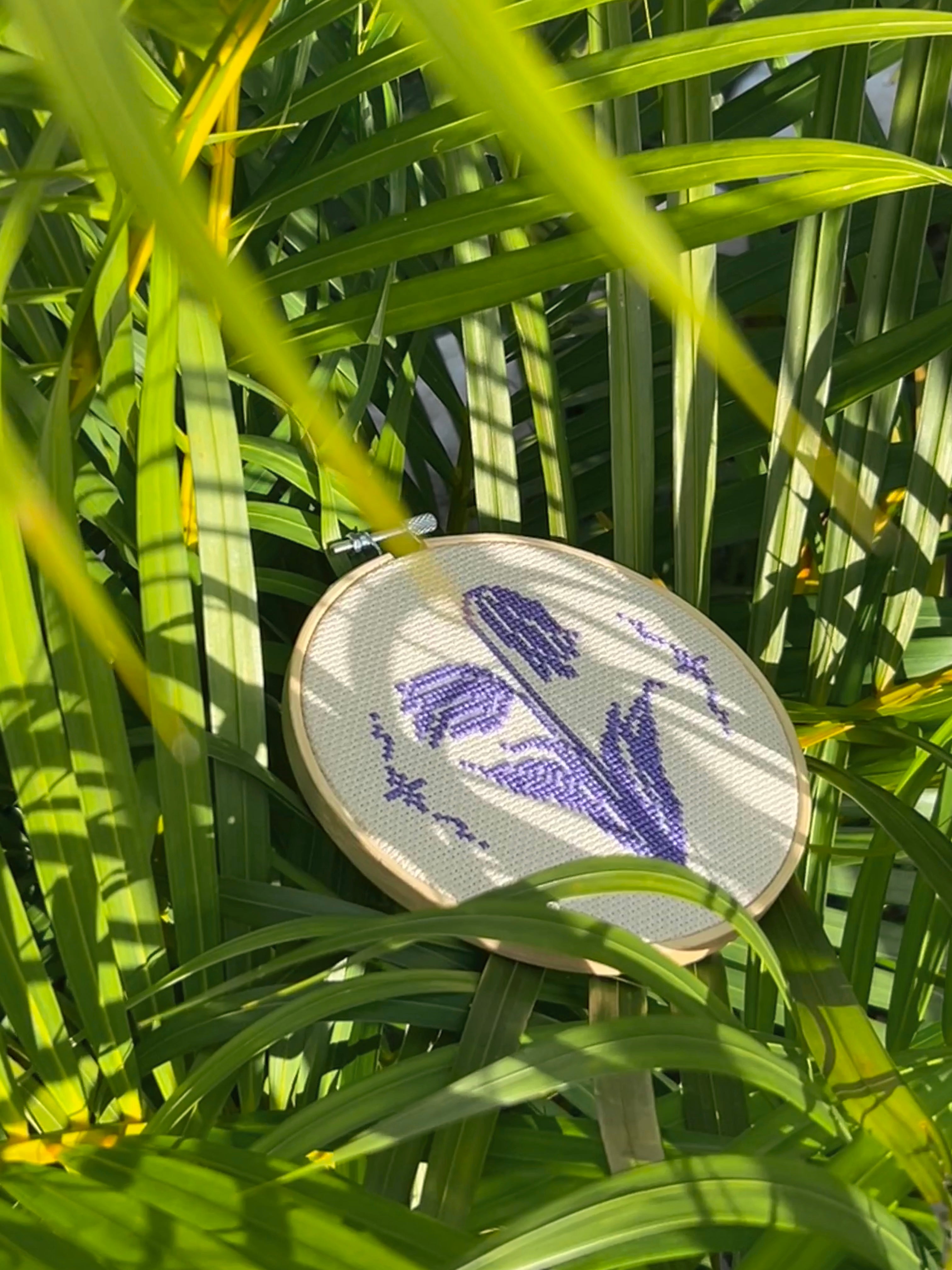 tulipanes marchitando